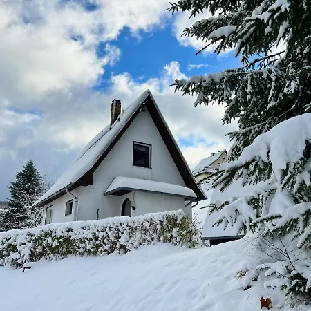 Urige Berghuette Mit Kamin Und Sauna Im Erzgebirge Nahe Schwarzwassertal Pobershau Eksteriør billede