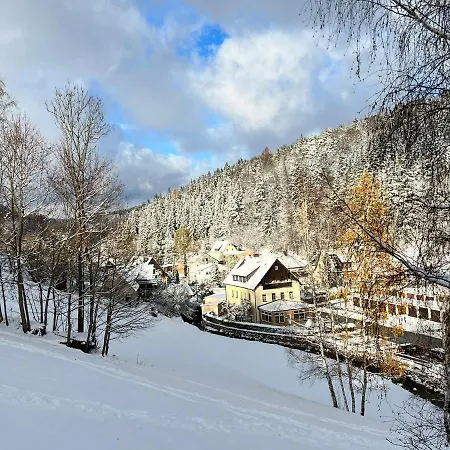 Urige Berghuette Mit Kamin Und Sauna Im Erzgebirge Nahe Schwarzwassertal Pobershau Eksteriør billede