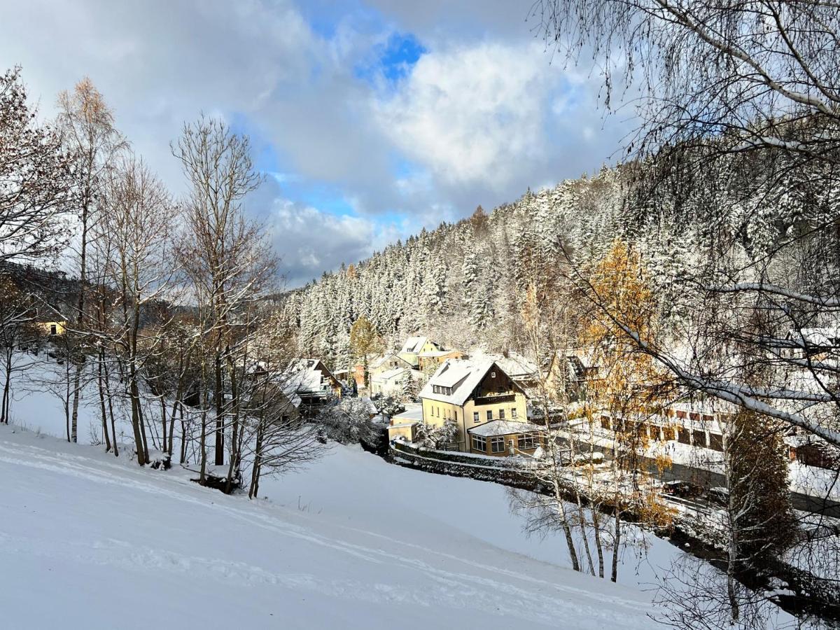 Hébergement de vacances Urige Berghuette Mit Kamin Und Sauna Im Erzgebirge Nahe Schwarzwassertal *