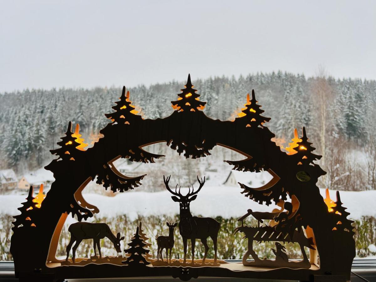 Urige Berghuette Mit Kamin Und Sauna Im Erzgebirge Nahe Schwarzwassertal Hébergement de vacances *