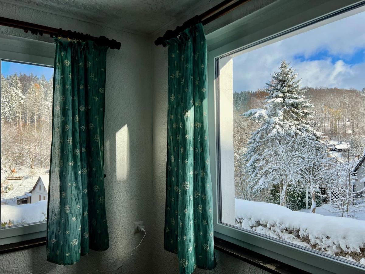 Urige Berghuette Mit Kamin Und Sauna Im Erzgebirge Nahe Schwarzwassertal