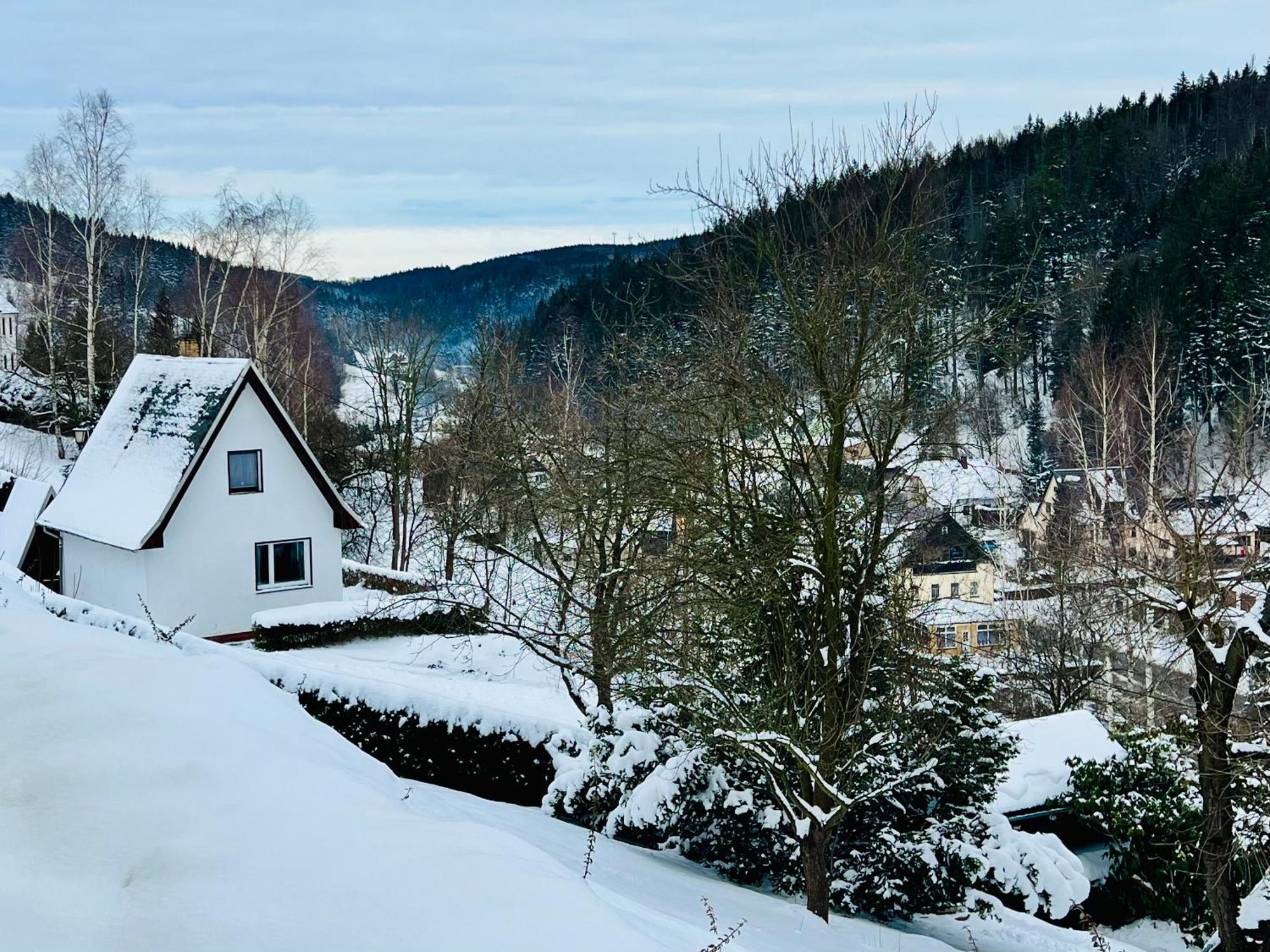 Hébergement de vacances Urige Berghuette Mit Kamin Und Sauna Im Erzgebirge Nahe Schwarzwassertal Pobershau